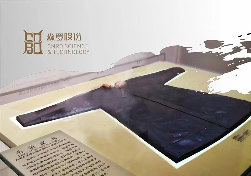 《森羅萬象》，包羅萬象第13問