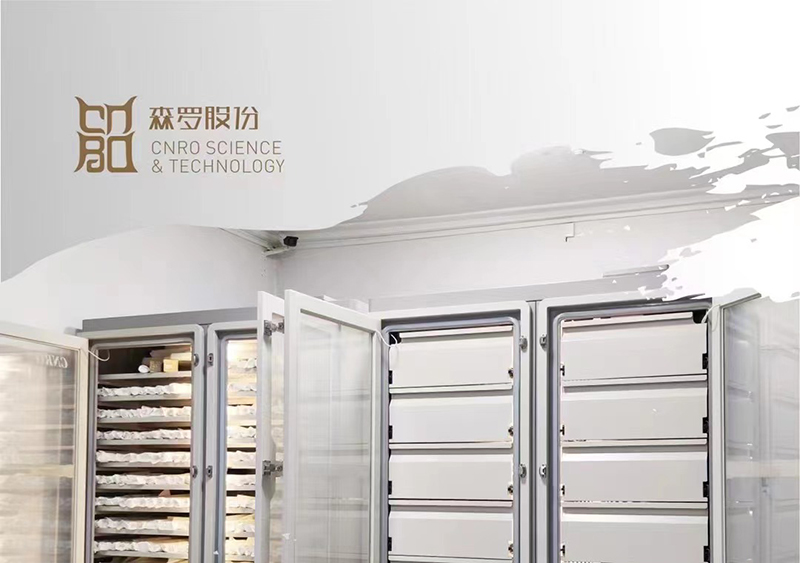 《森羅萬象》，萬象包羅第14問