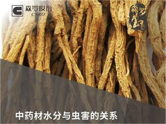 《森羅萬象》，萬象包羅 第3問