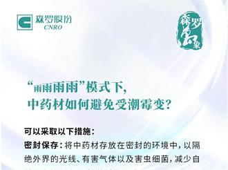 《森羅萬象》，萬象包羅 第8問