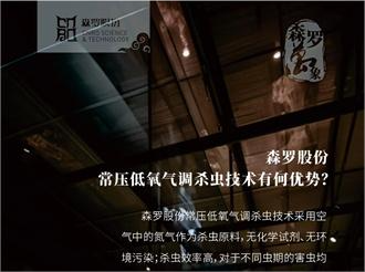 《森羅萬象》，萬象包羅第91問